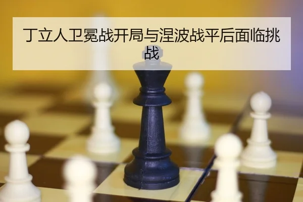 ding-li-ren-wei-mian-zhan-kai-ju-yu-nie-bo-zhan-ping-hou-mian-lin-tiao-zhan-2-976.jpg