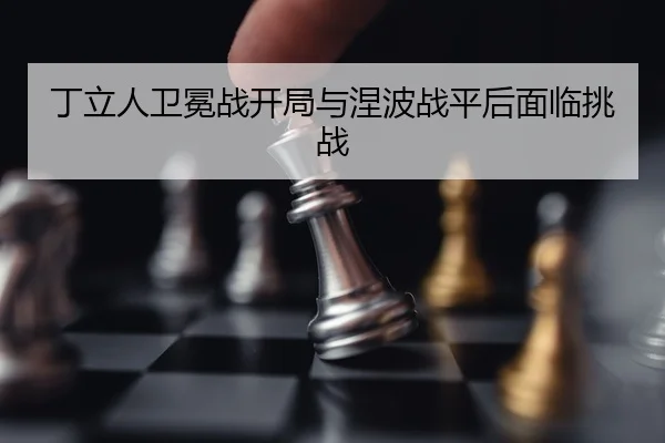 ding-li-ren-wei-mian-zhan-kai-ju-yu-nie-bo-zhan-ping-hou-mian-lin-tiao-zhan-3-421.jpg